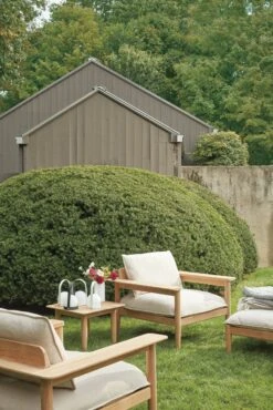 Terassi Side Table -Muutous Zone W DWR 2195405 100069256 papyrus teak v3 001