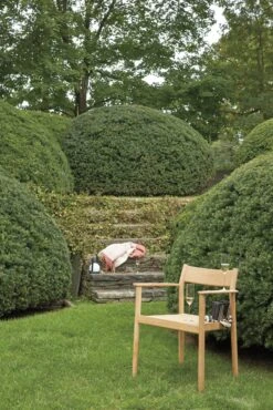 Terassi Armchair -Muutous Zone W DWR 2195413 100069264 papyrus teak v2 001