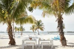 Lollygagger Picnic Table 22 Lollygagger Picnic Table -Muutous Zone W DWR 2196305 100078754 white v1 001 1