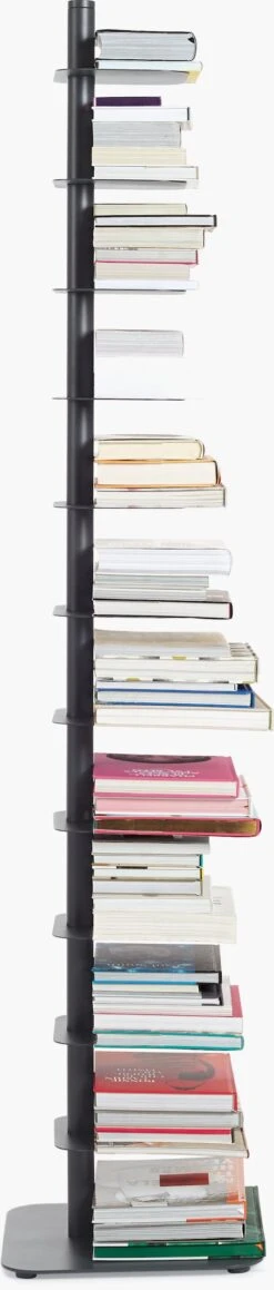 Story Bookcase -Muutous Zone W DWR 2197172 100087320 coal p