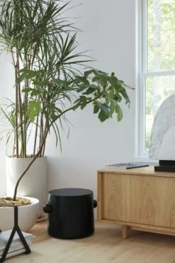 Hew Side Table, Style D -Muutous Zone W DWR 2515434 100118323 painted ash v1 002 1