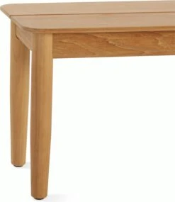 Terassi Bench 10 Terassi Bench -Muutous Zone W DWR 2522832 100188914 teak d1