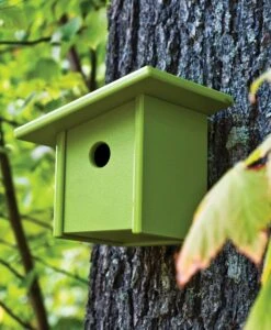Pitch Birdhouse 5 Pitch Birdhouse -Muutous Zone W DWR 2522833 100188917 leaf green v1 001