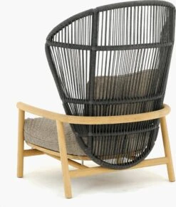 Fern Lounge Chair -Muutous Zone W DWR 2523892 100212801 raven wave buff a v2