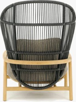 Fern Lounge Chair -Muutous Zone W DWR 2523892 100212801 raven wave buff b