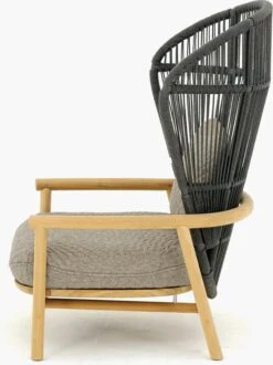Fern Lounge Chair -Muutous Zone W DWR 2523892 100212801 raven wave buff p