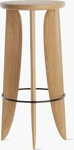 Thirteenth Stool