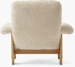 Brasilia Lounge Chair -Muutous Zone W DWR 2560797 100405841 nature oiled oak b