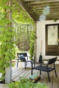 Case Eos Lounge Chair 15 Case Eos Lounge Chair -Muutous Zone W DWR 4069 703215 black v1 001