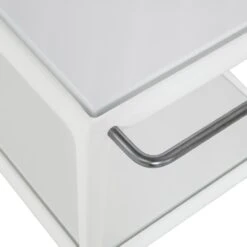 1966 Collection Porcelain Serving Cart 17 1966 Collection Porcelain Serving Cart -Muutous Zone W DWR 4260 685818 white d