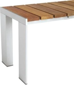 Deneb Bench -Muutous Zone W DWR 4599 9047086 white d jpg