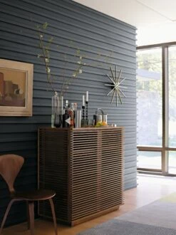 Cherner Side Chair -Muutous Zone W DWR 5030 504171 walnut v1