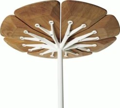 Petal End Table -Muutous Zone W DWR 6007 684972 teak d1