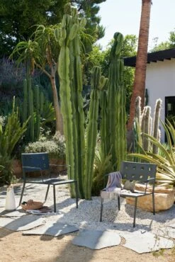 Hay Balcony Lounge Armchair -Muutous Zone W HAY 2537826 100279561 deep green v2 018