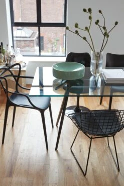 Bertoia Side Chair, Without Seat Pad -Muutous Zone W HM 4816 9095630 black glass v3 001 1