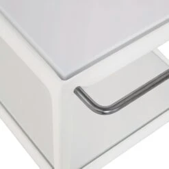 1966 Collection Porcelain Serving Cart 25 1966 Collection Porcelain Serving Cart -Muutous Zone W PD 4260 ALT3 jpg